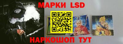 spice Краснознаменск