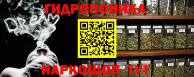 spice Краснознаменск