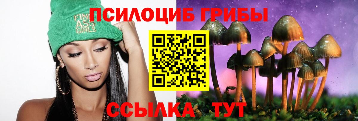 Галлюциногенные грибы прущие грибы Карачаевск